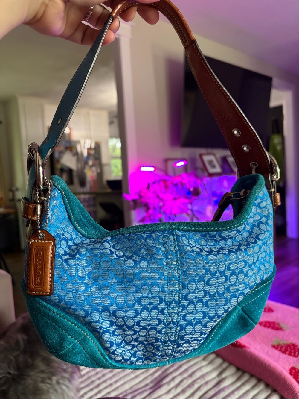 Y2K vintage Coach SoHo